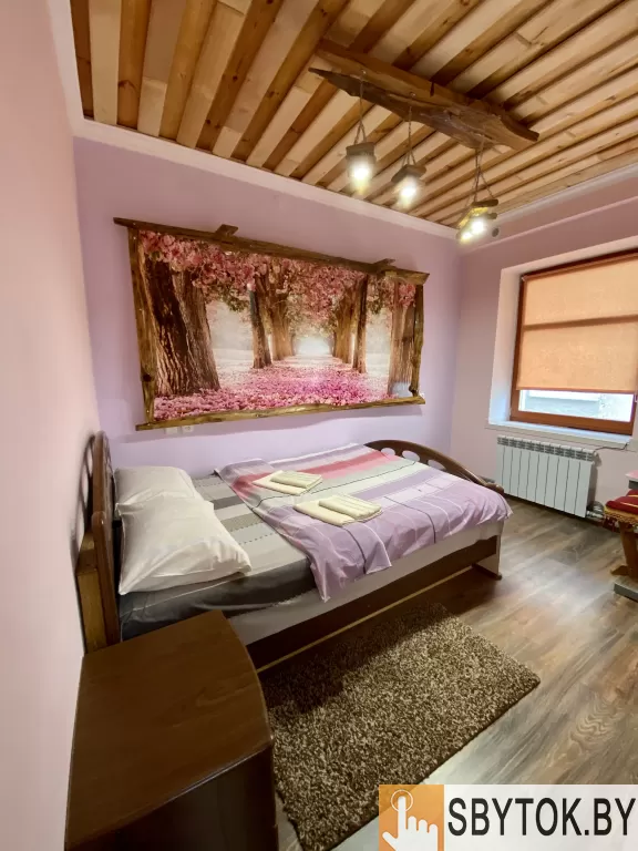 Апартаменты студио в Браславе на озере Дривяты