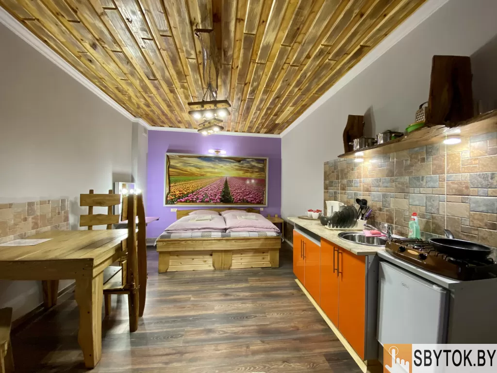 Апартаменты студио в Браславе на озере Дривяты