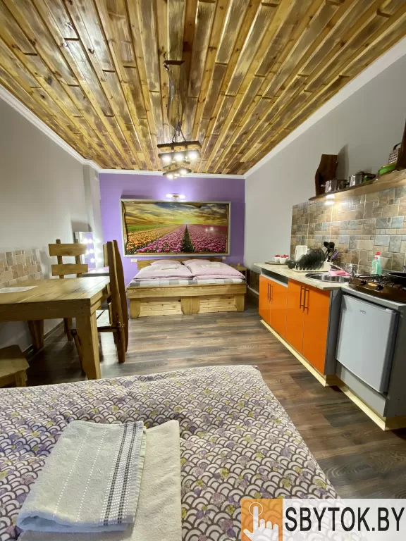 Апартаменты студио в Браславе на озере Дривяты