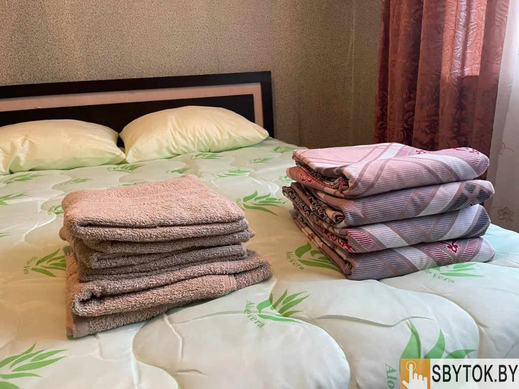 Просторная и уютная квартира на сутки в городе Ивацевичи