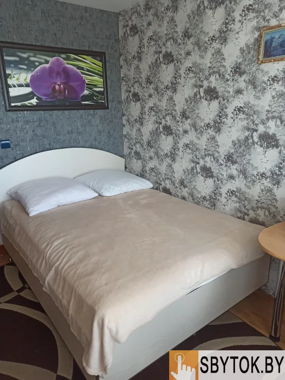 Двушка на сутки в самом Центре по Ленина