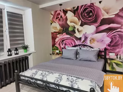 Квартира на сутки часы в городе Лида