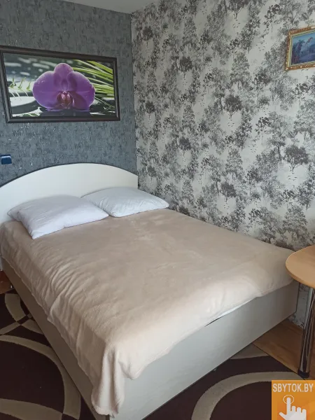 Двушка на сутки в самом Центре по Ленина