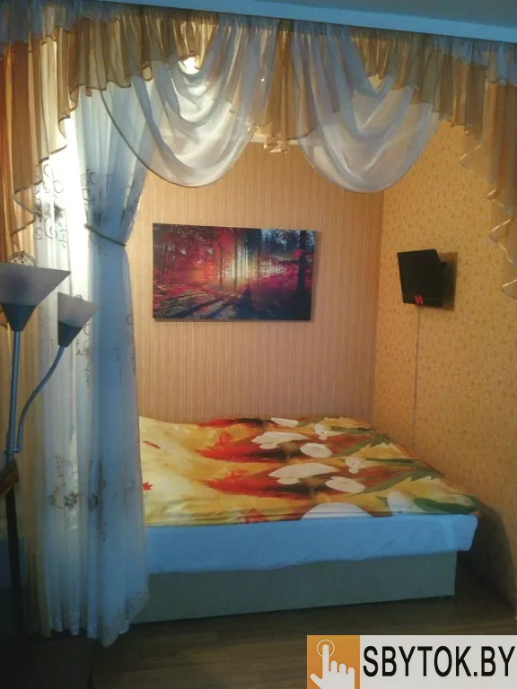 Домашняя квартира- альтернатива гостинице. На сутки Жодино