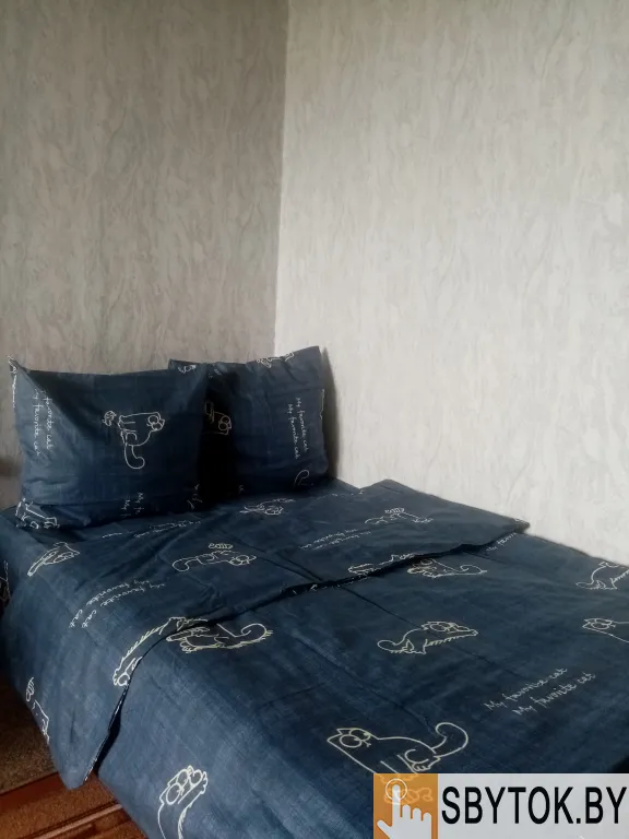 Квартира на сутки в Слуцке,