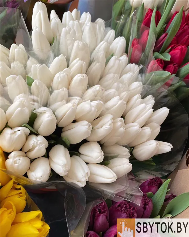 Тюльпаны белые опт. Документы.