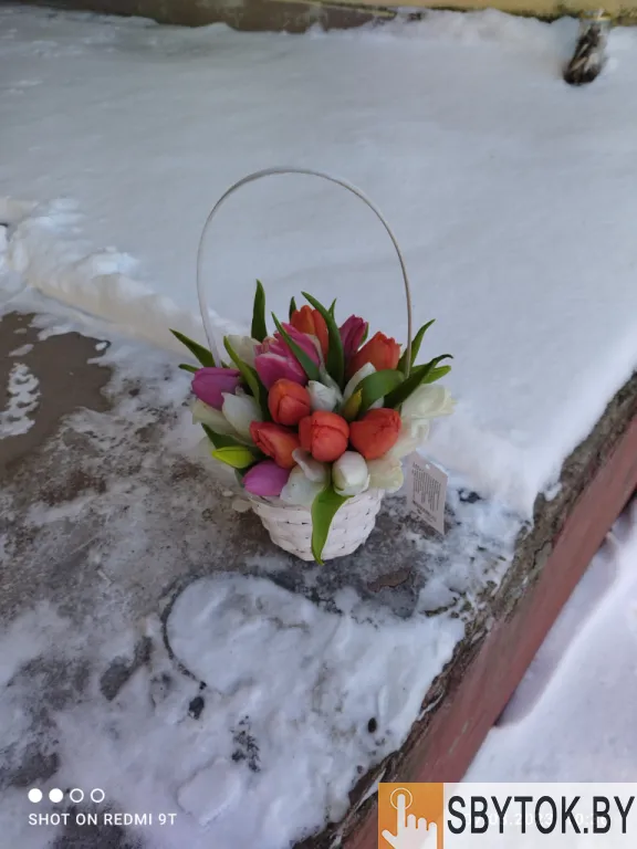 Тюльпаны белые опт. Документы.