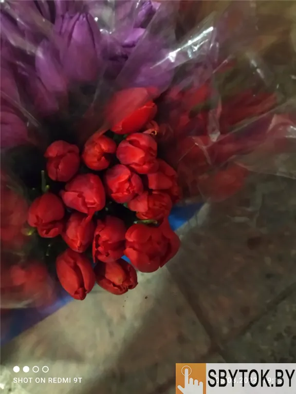 Тюльпаны жёлтые оптом. Документы.