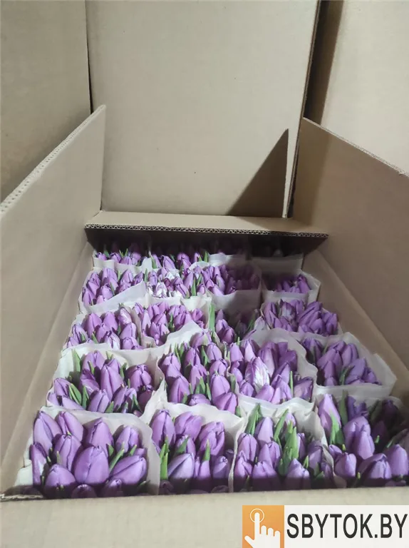 Тюльпаны премиум. Документы.