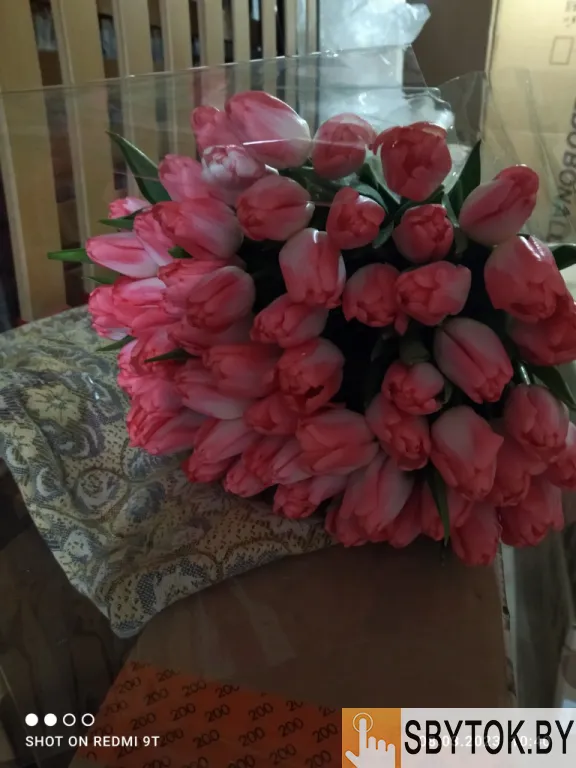 Тюльпаны белые опт. Документы.