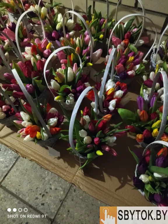 Тюльпаны жёлтые оптом. Документы.