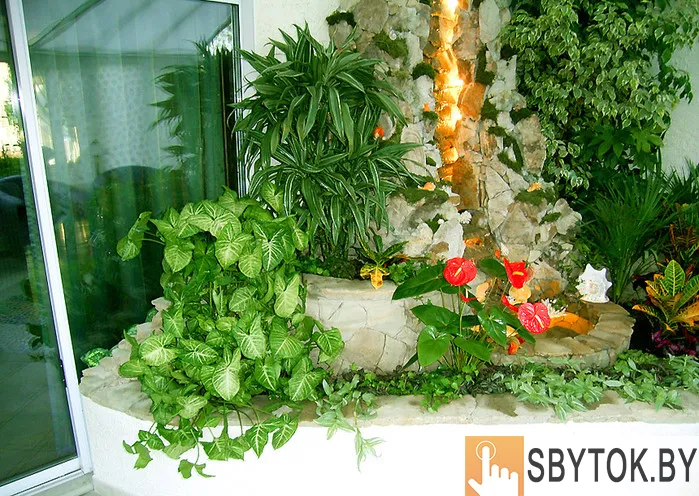 Курсы Фитодизайн интерьера