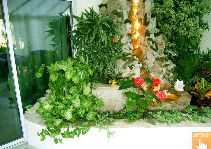 Курсы Фитодизайн интерьера